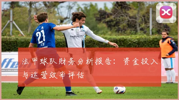 法甲球队财务分析报告：资金投入与运营效率评估